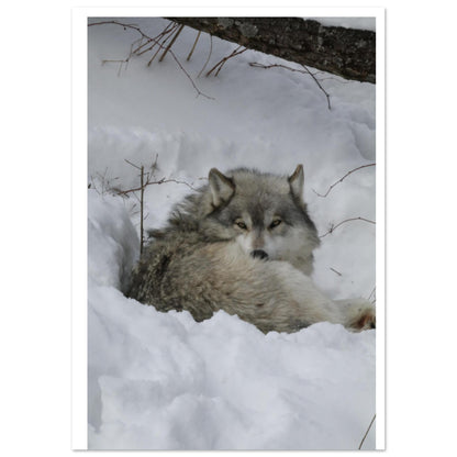 a29394c2-2a12-488d-a0e5-614e5198c4b0