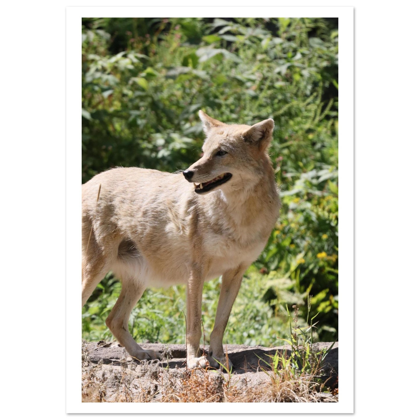 a395ac6d-5b49-4e54-9978-20869054a4a7