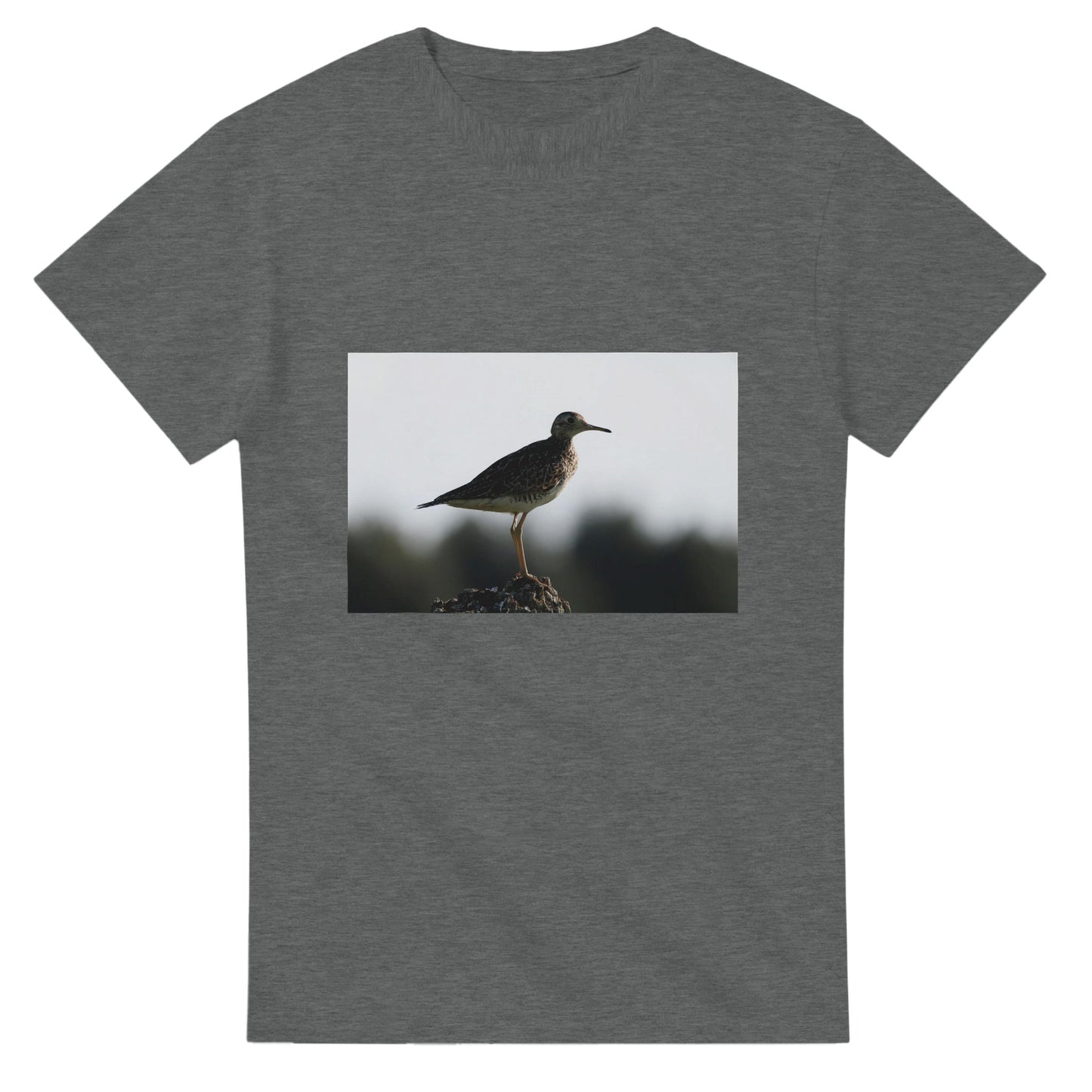 a464afb4-3cd7-420e-bdc7-06446b209f9f