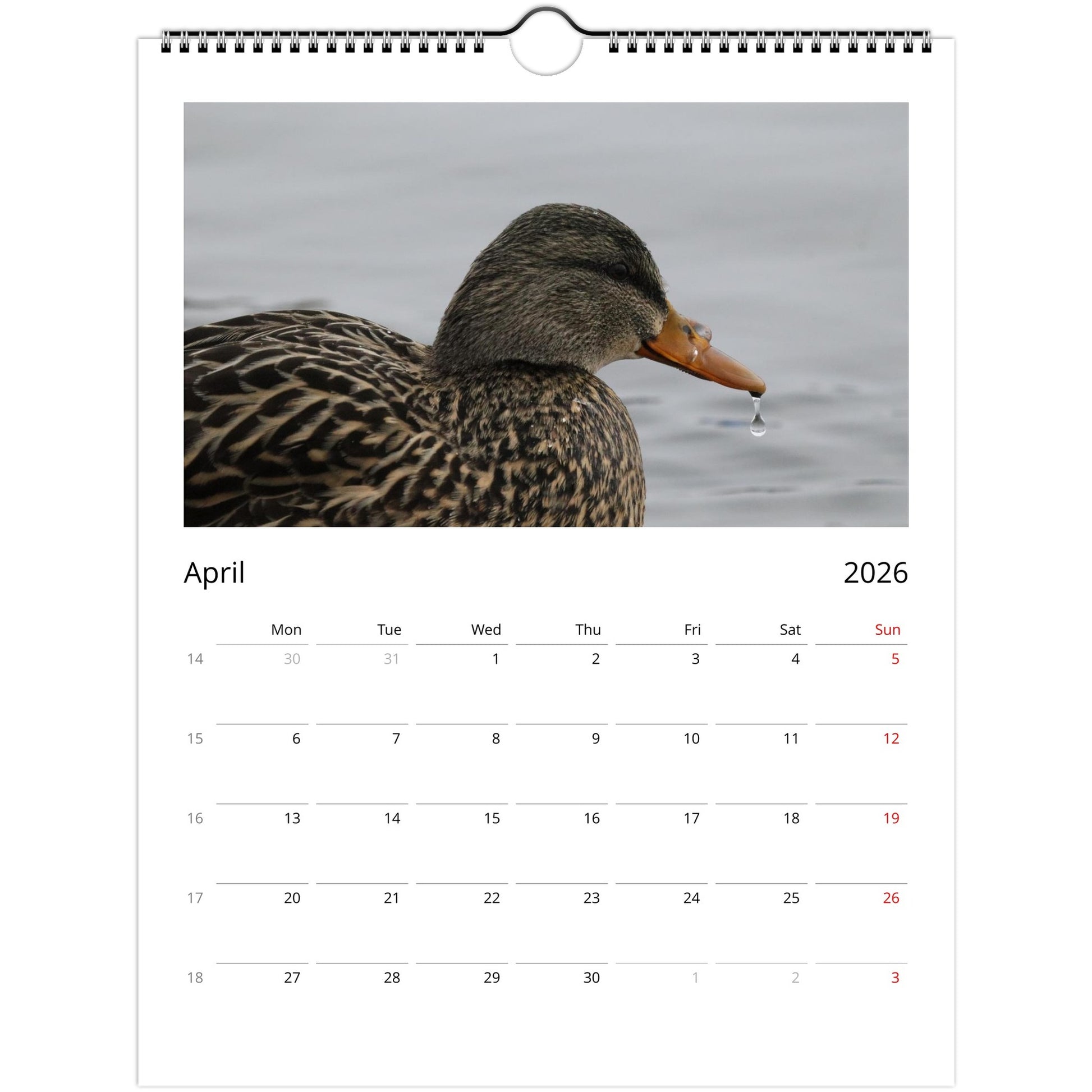 a47ef338-a784-4cbf-b2a5-0f2f3fa339c4