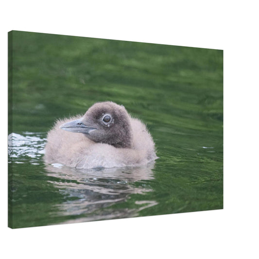 a58d95f5-ebd0-4ade-a94d-613d8db8f378