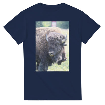 a59422e9-c112-4f77-b167-1af02b9667d0