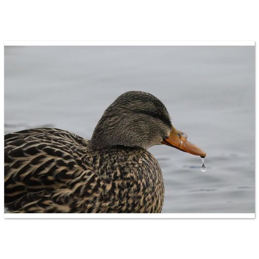 a5c4c9f7-f53f-4dab-b339-e69840b69e9f