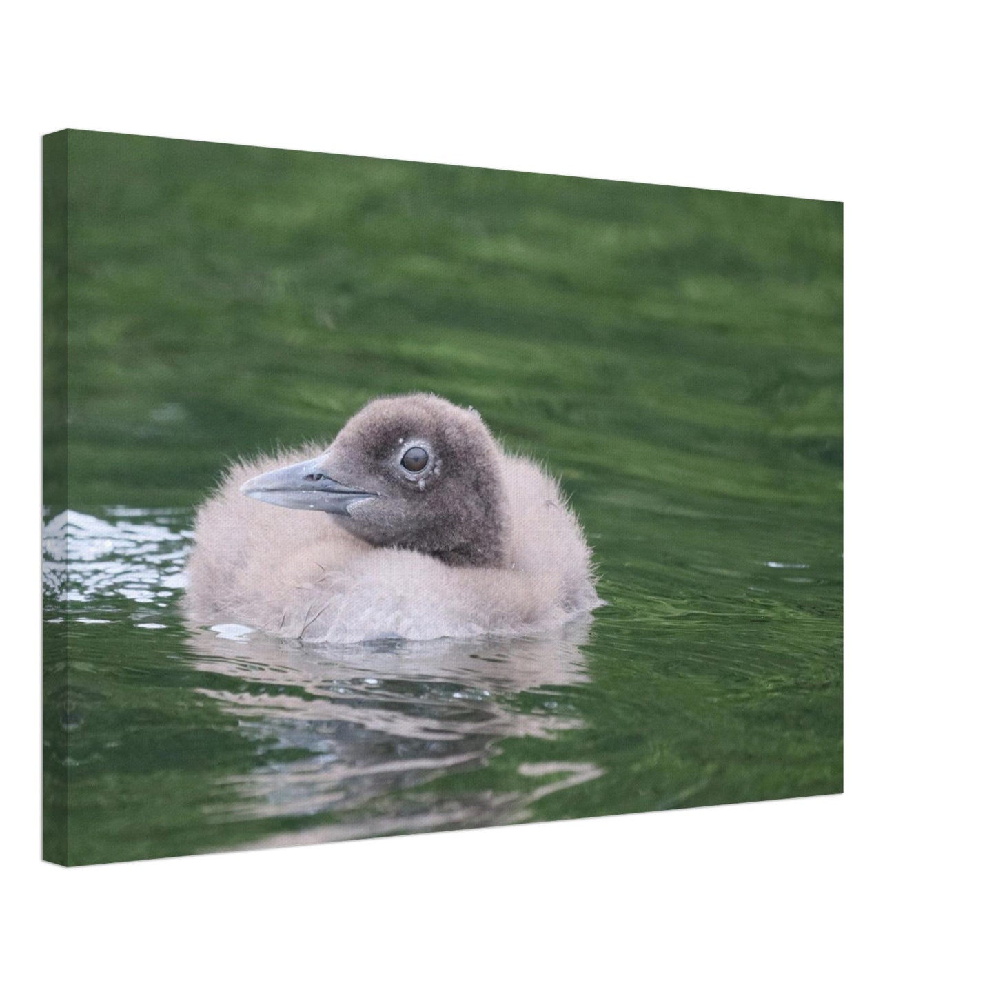 a6914066-b659-4254-8be1-f5fa264156c5