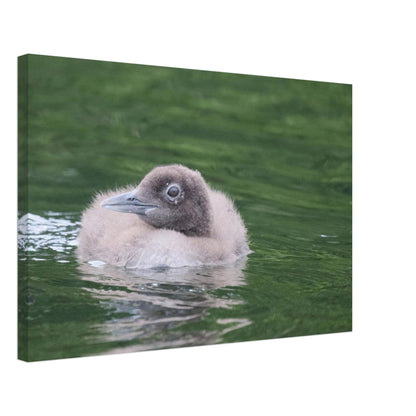 a6914066-b659-4254-8be1-f5fa264156c5