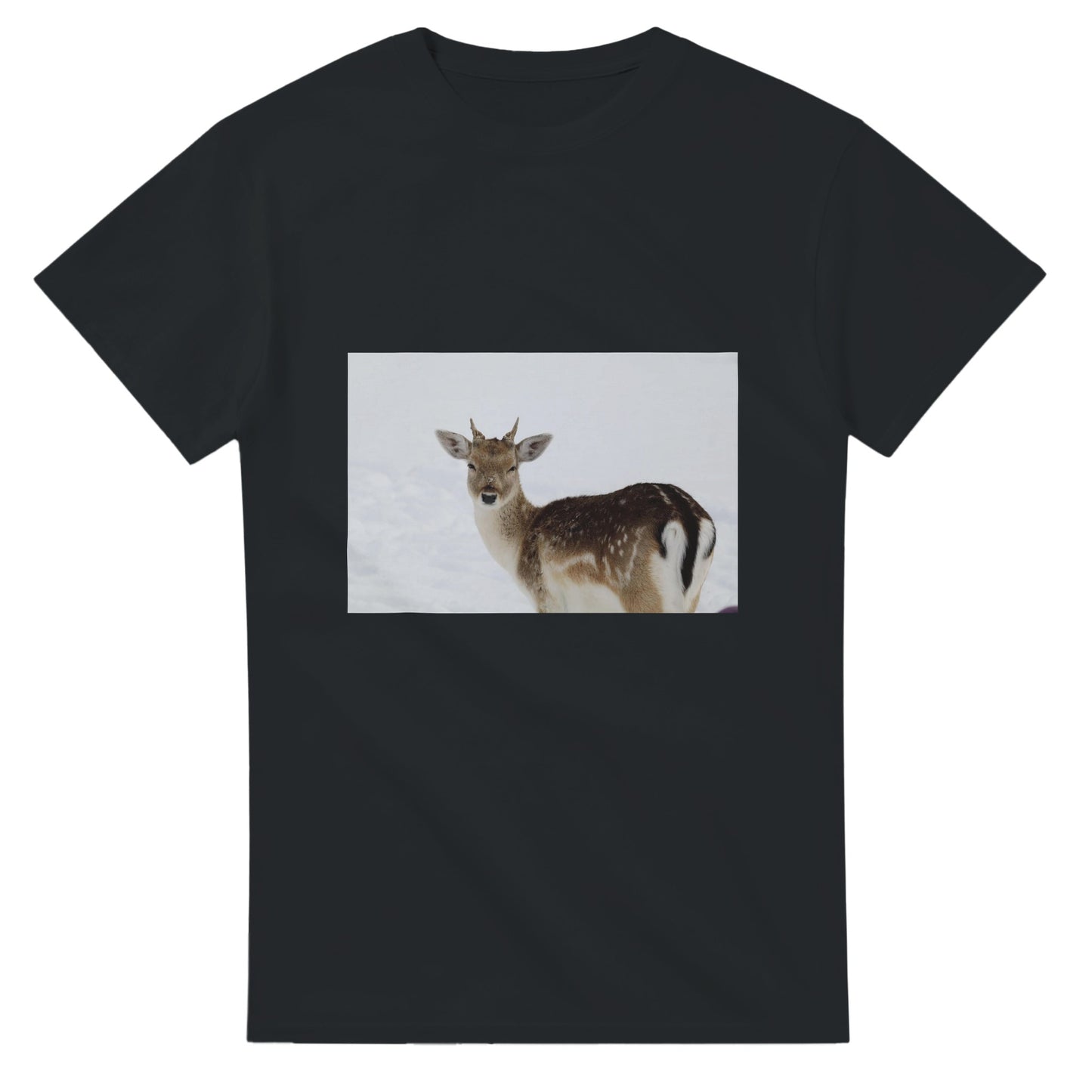 a7714259-74d6-4949-8887-6392416a9b96