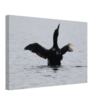 a7f1bcdb-fd74-41ce-ab82-91f29876be68