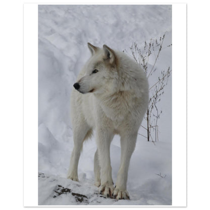 a88f2c06-1017-4b4a-8f5f-992773fd8354