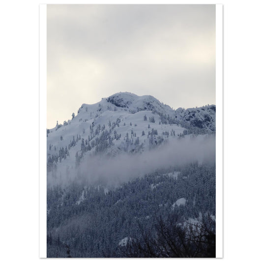 a89d2142-89bb-45ac-99f1-2f33844b85fa