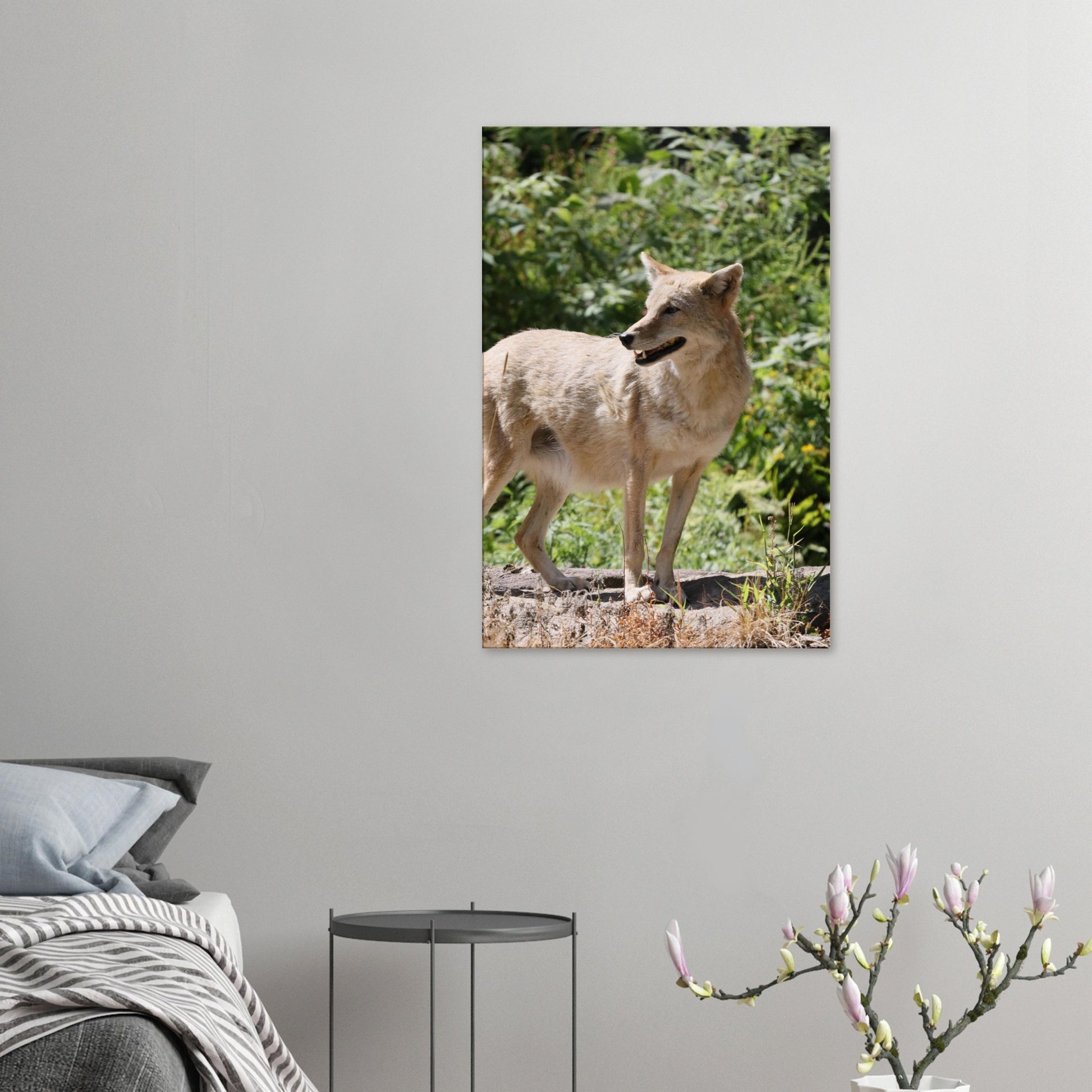 aafe6051-4284-4df8-9554-4b913f4c292f