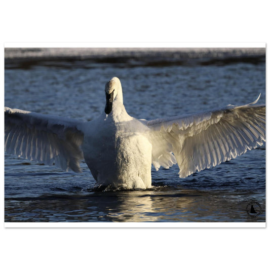 ab92f5c3-a023-468c-901c-fe6c3b5e0968