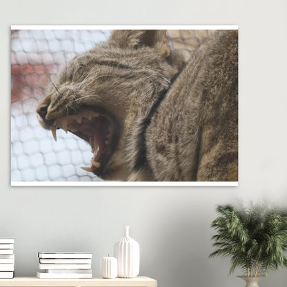 abcd26da-f484-40ef-81e6-79800212326e