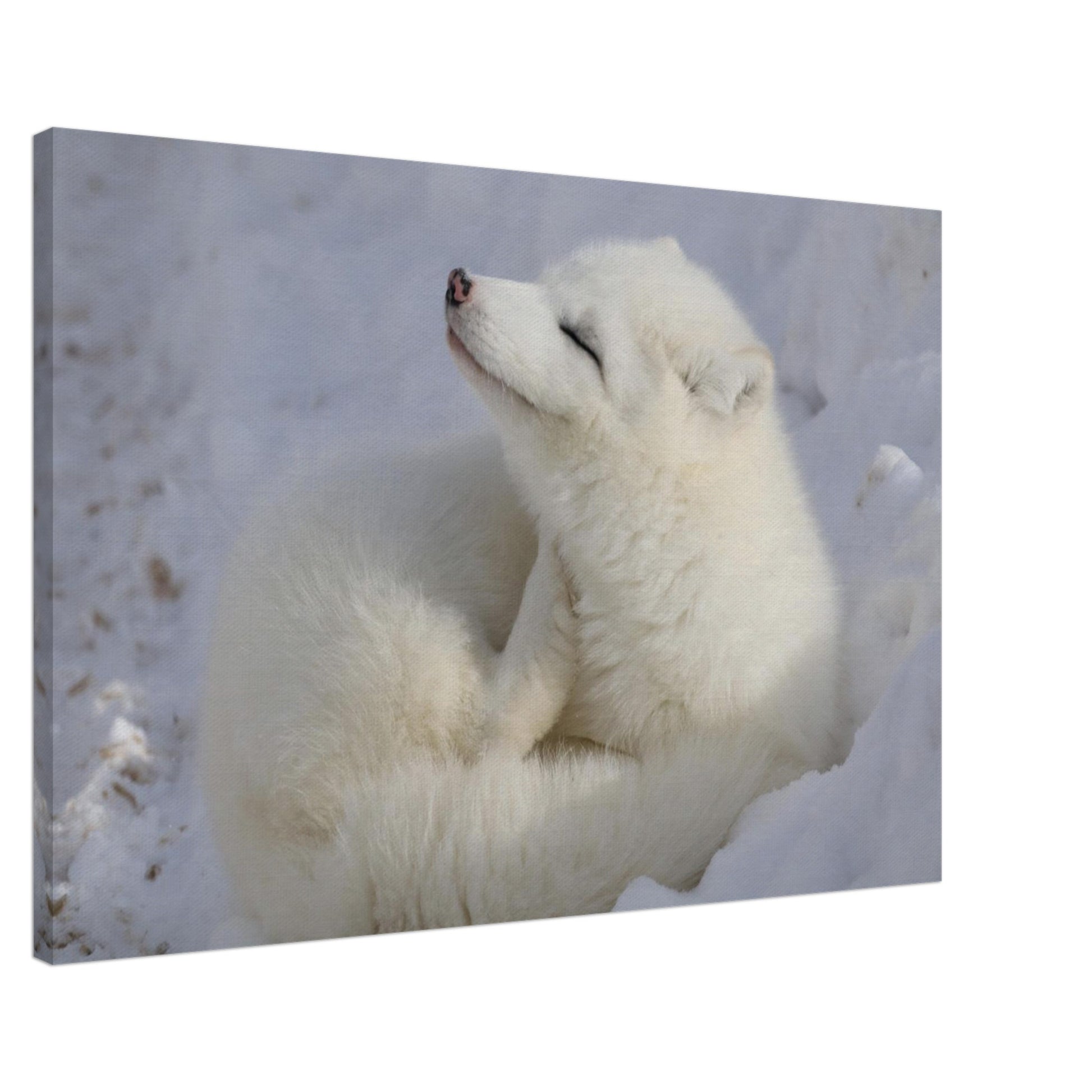 ac14418a-e1ff-47f7-b16b-5d884e55ec16