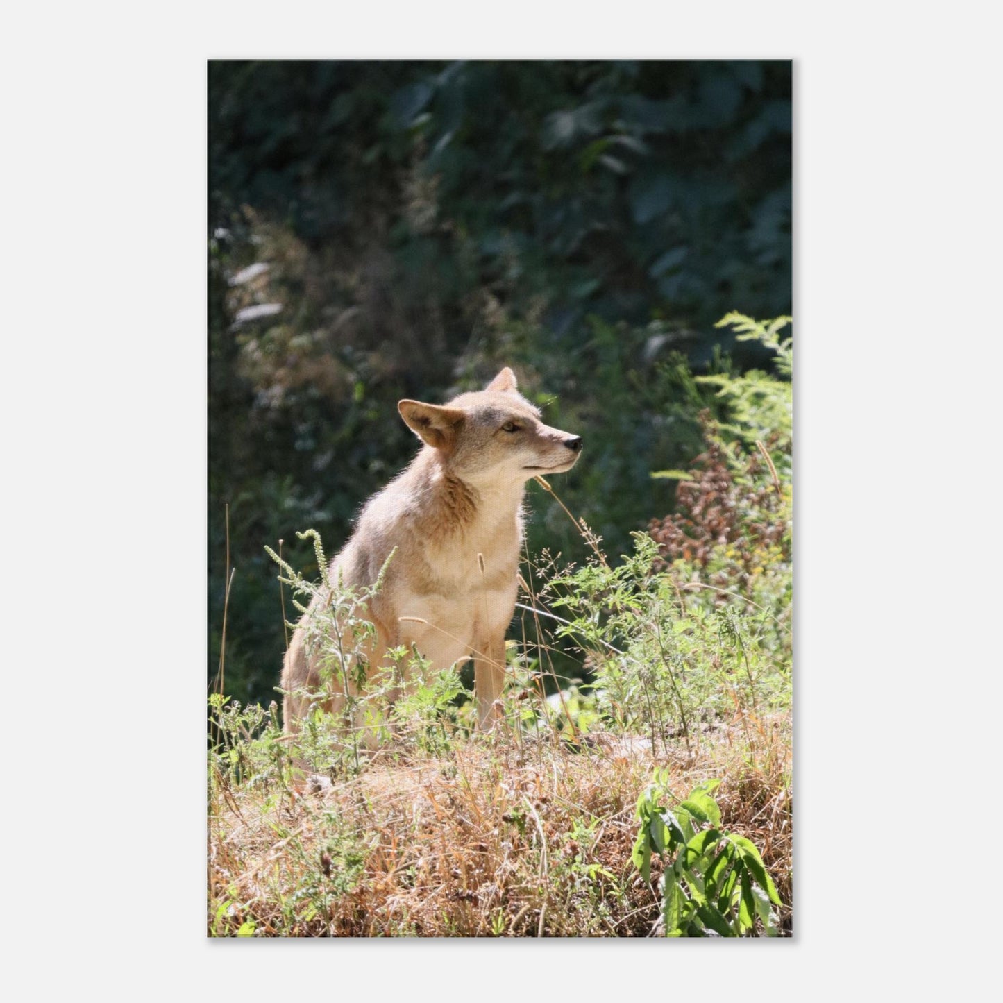 ac252ec5-9844-48ee-a4ab-d6ed641acd30