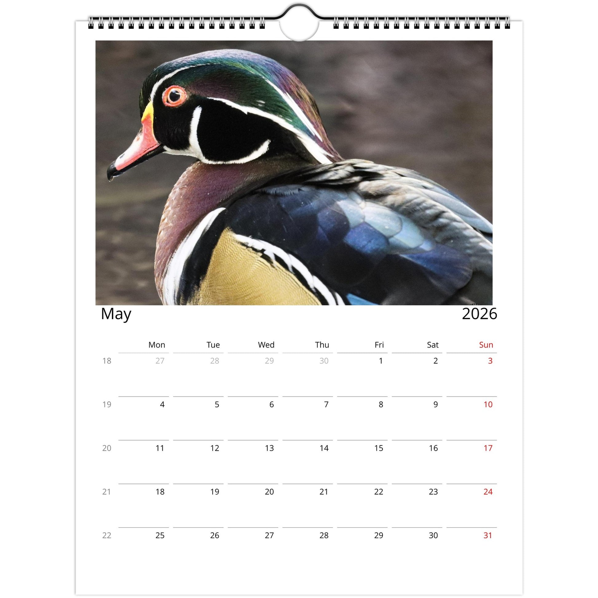 aca52a48-64bd-4421-9b6f-c1435ad5b32b