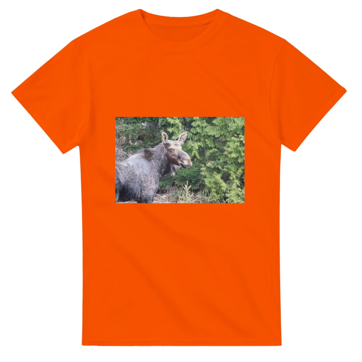 acc5e435-a317-4293-880a-228b9e306b7e