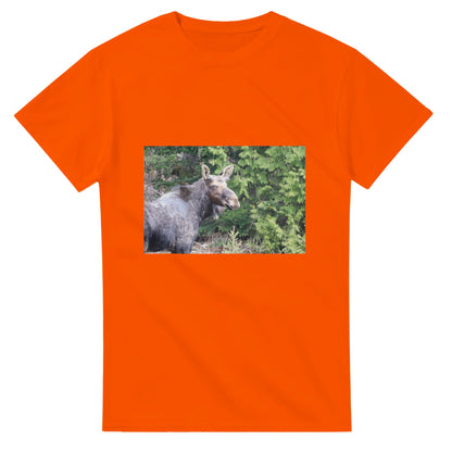 acc5e435-a317-4293-880a-228b9e306b7e