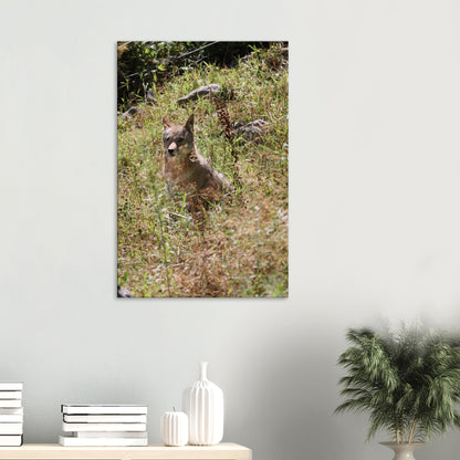 aceee6fa-1714-4eeb-9309-23a1a1c8dd03