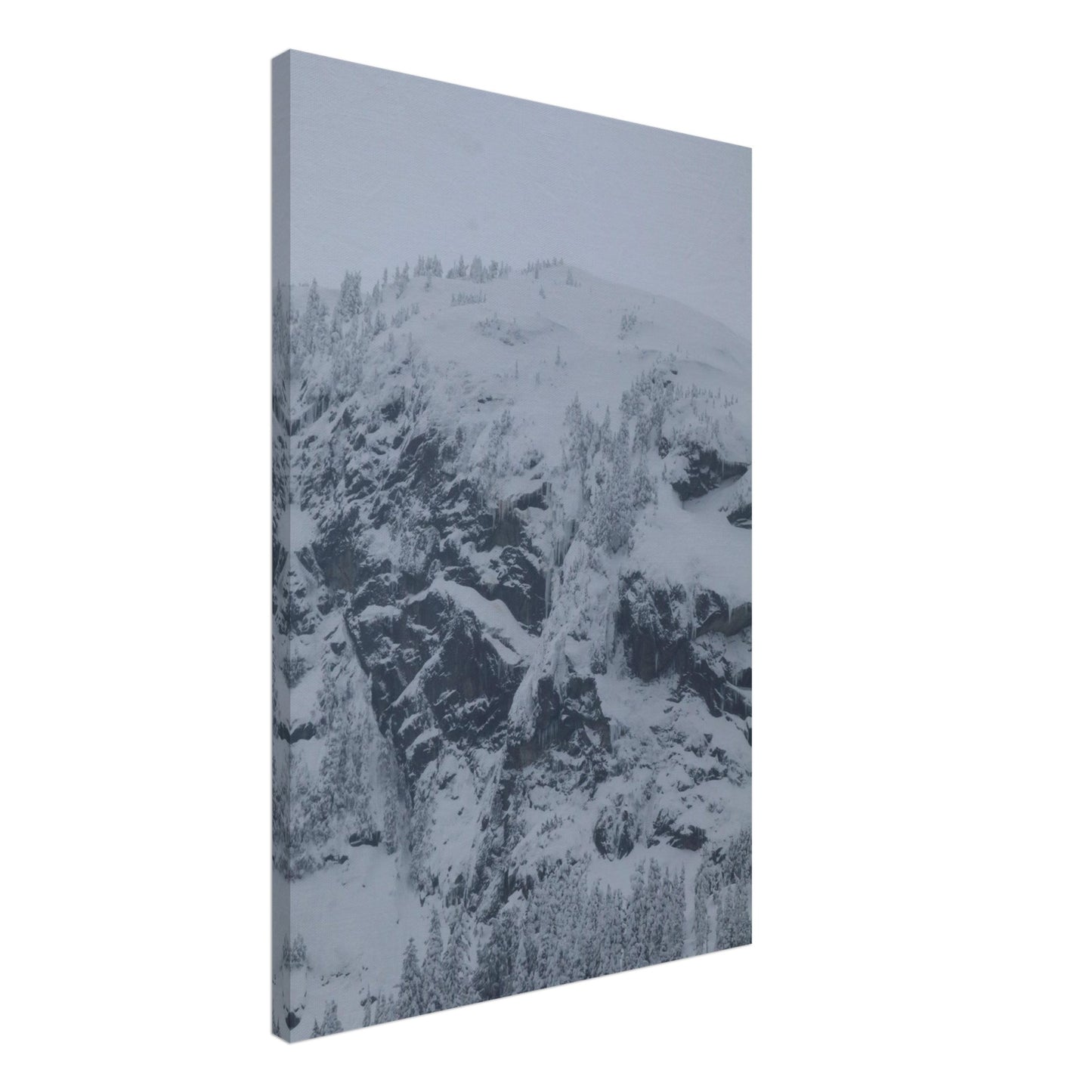acfa141a-bc44-45a1-8d5f-c5c5ae1850a1
