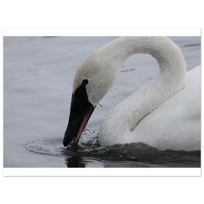 acffa42f-938b-4aa4-8f53-c1d244ca6234