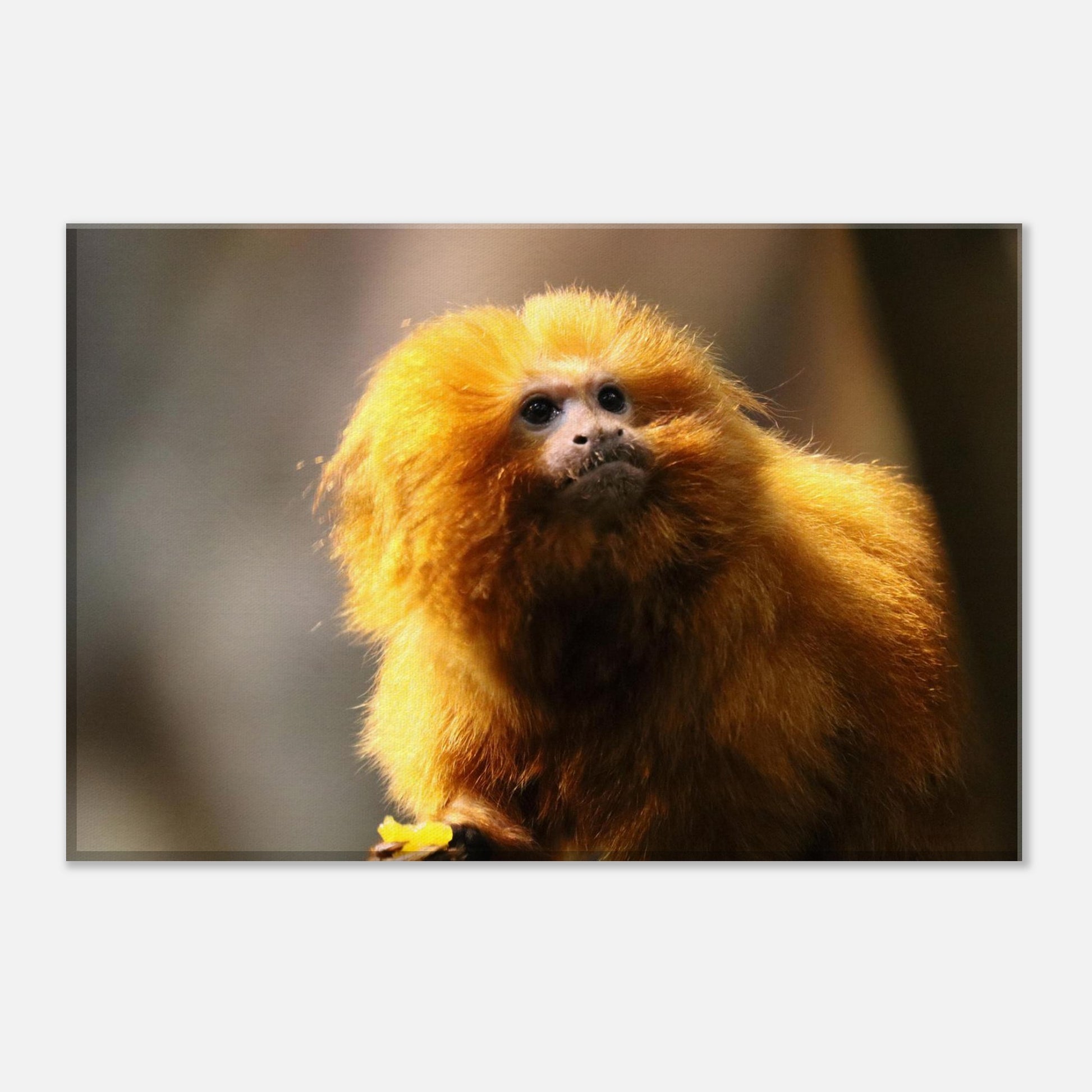 ad186fca-e172-4562-885d-f8e0f48d64a4