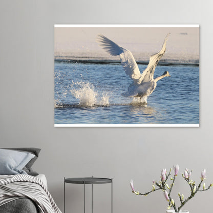 b05da3d9-0b5b-4051-81b6-2ff38e5ceef8