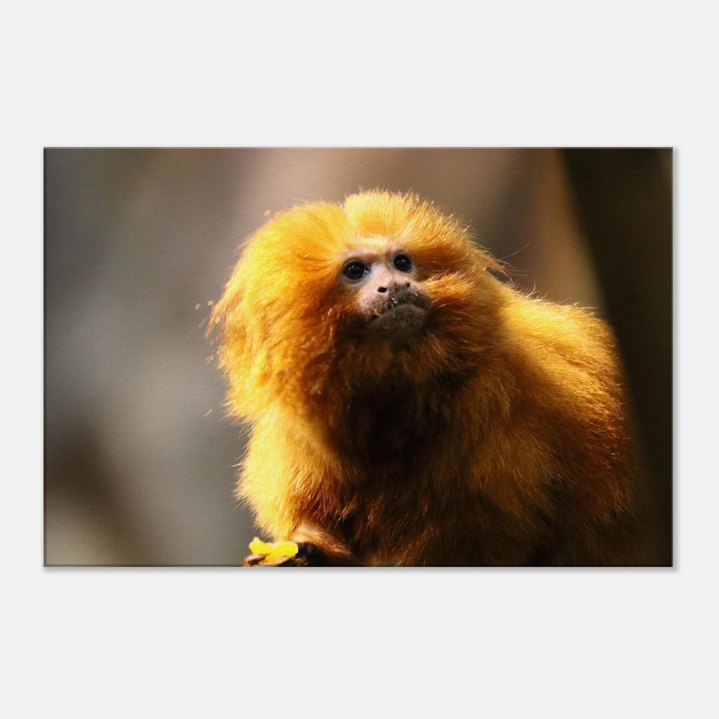 b06d7d7f-f60d-4ec4-81bf-d58412cf4cf1