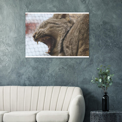 b0802d1d-afdf-4a14-8af5-4cc3e163bde6