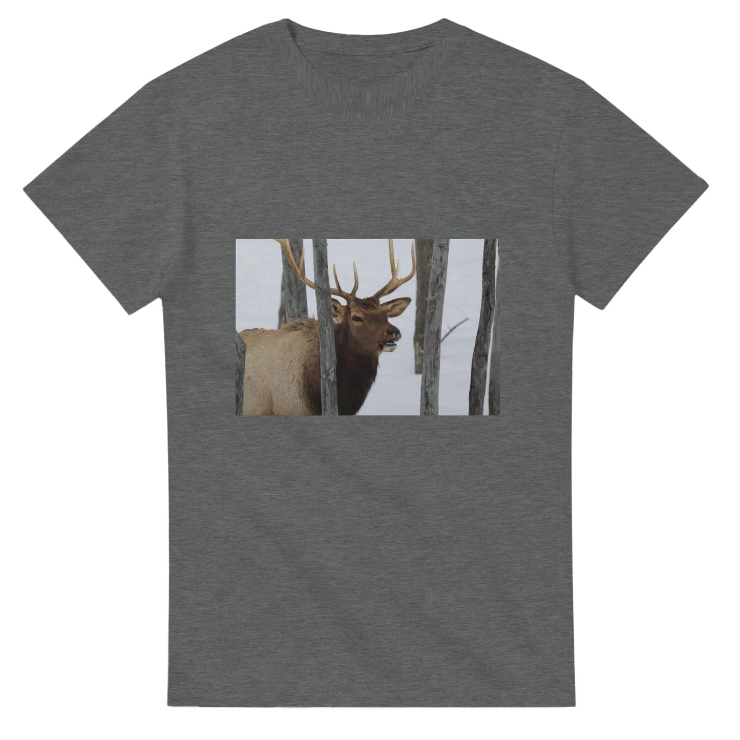 b0ad9f8e-f523-4fd4-9d5a-b466689b8a4d