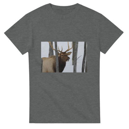 b0ad9f8e-f523-4fd4-9d5a-b466689b8a4d