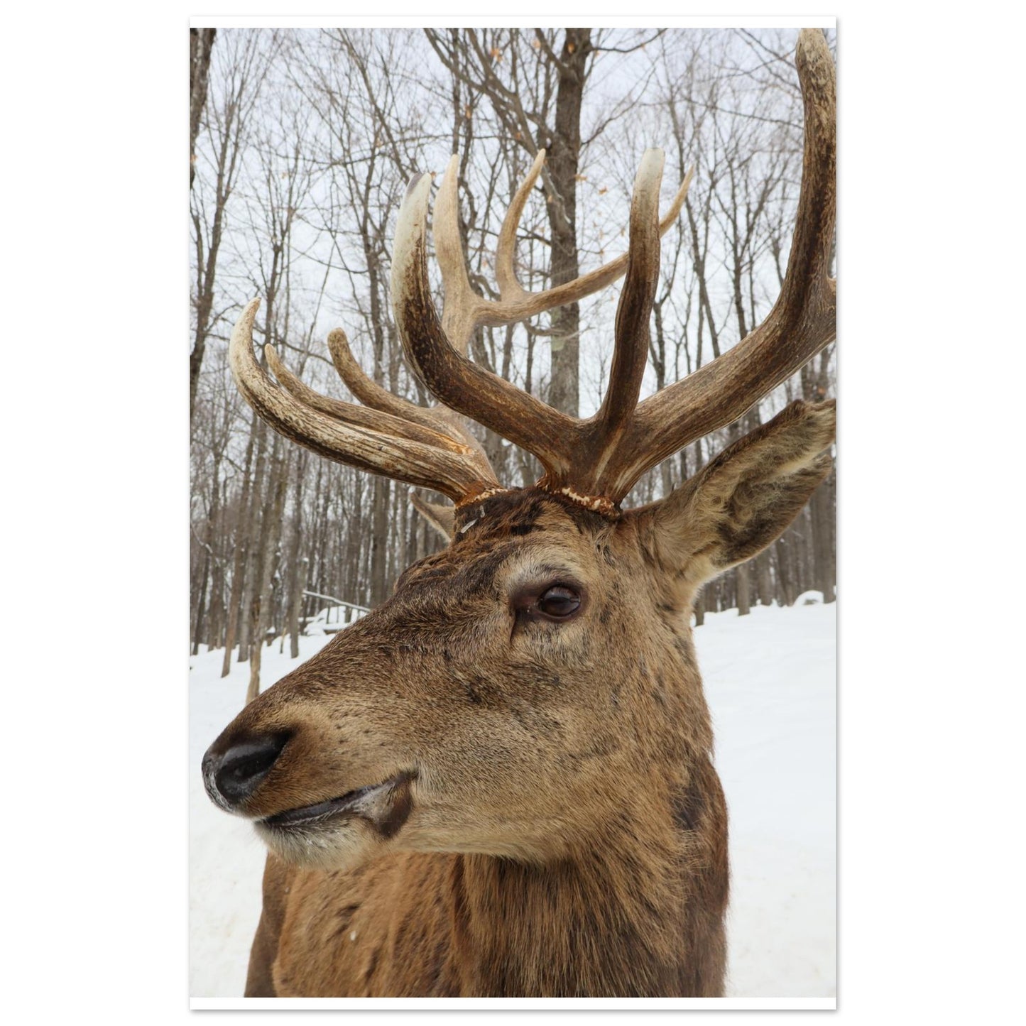 b0bf6854-1bf3-4d22-8d01-13e9ccbf7395