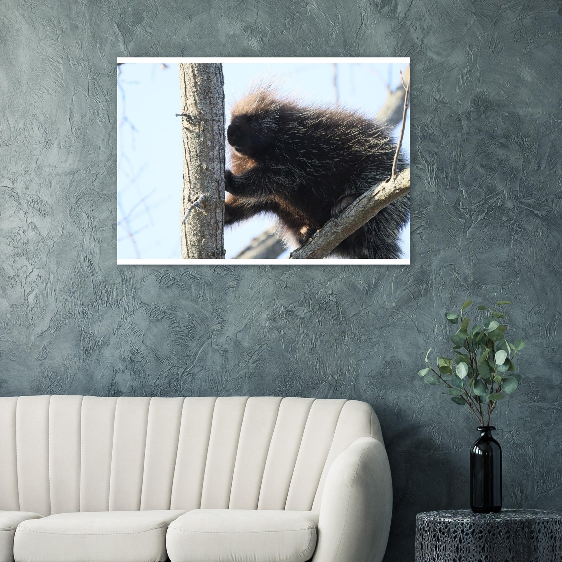 b0c643dd-5f82-4522-90a7-b6ec20d054da