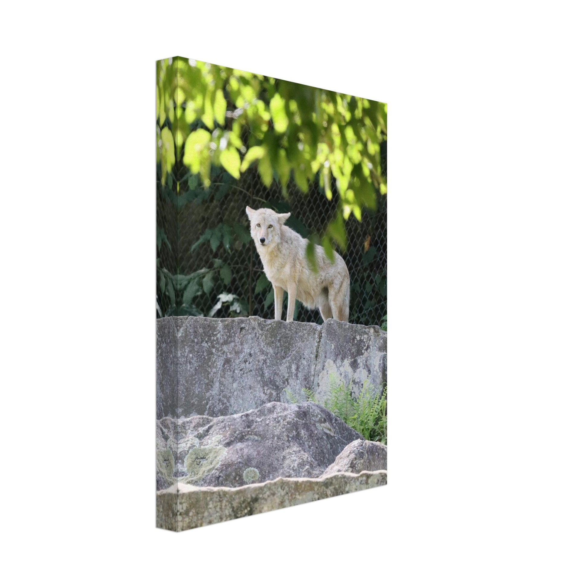 b1198209-1cc9-4acc-8039-bd05a4f2fbba