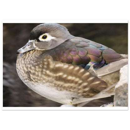 b1aaed11-f3e5-44ef-893e-0f31c7d77629