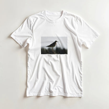 b1d287b9-e3be-4ba4-ad3c-34c62f6e22d2