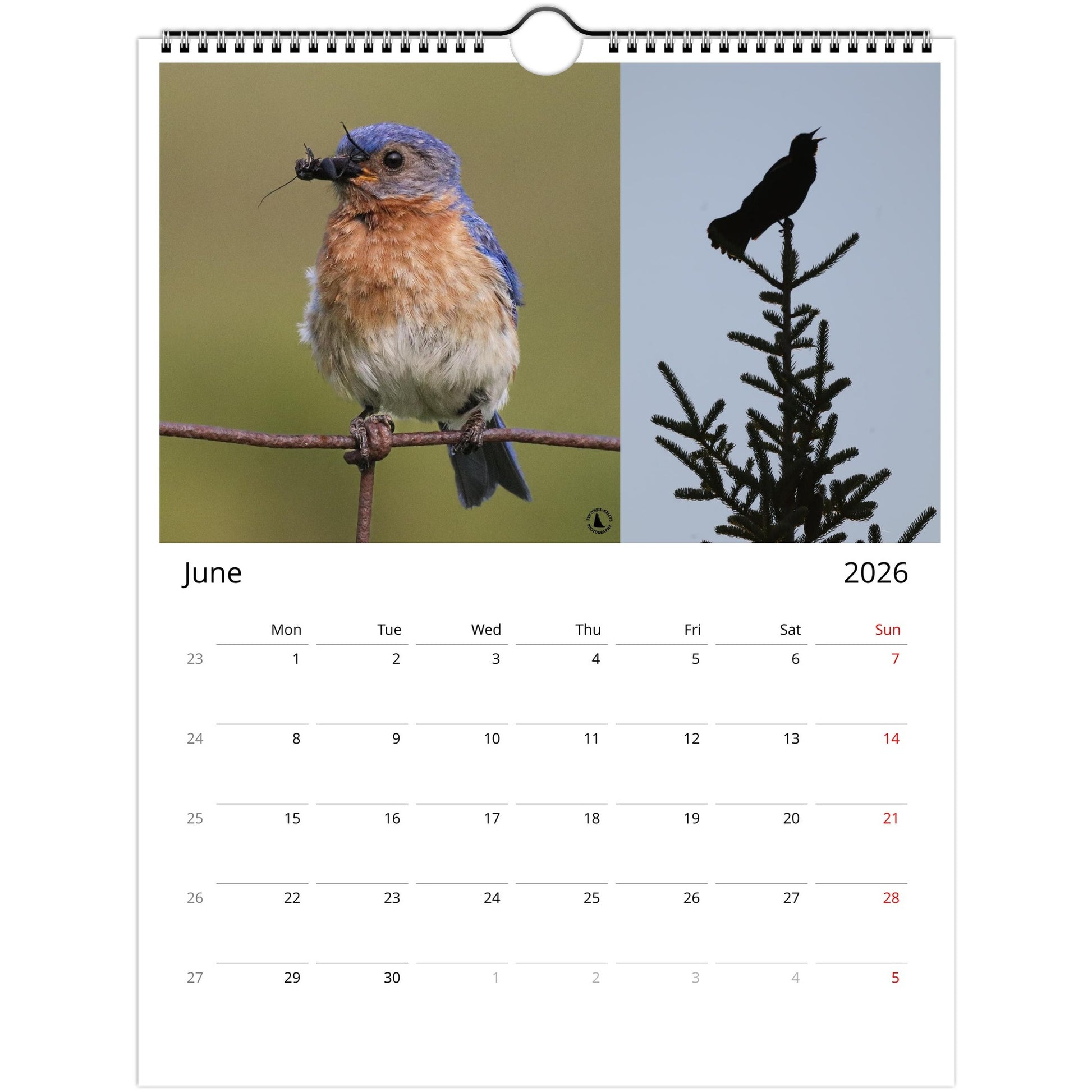 b1e33960-b944-42d8-9851-190ffbfba705