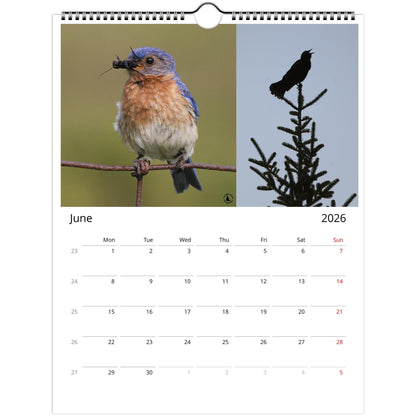 b1e33960-b944-42d8-9851-190ffbfba705