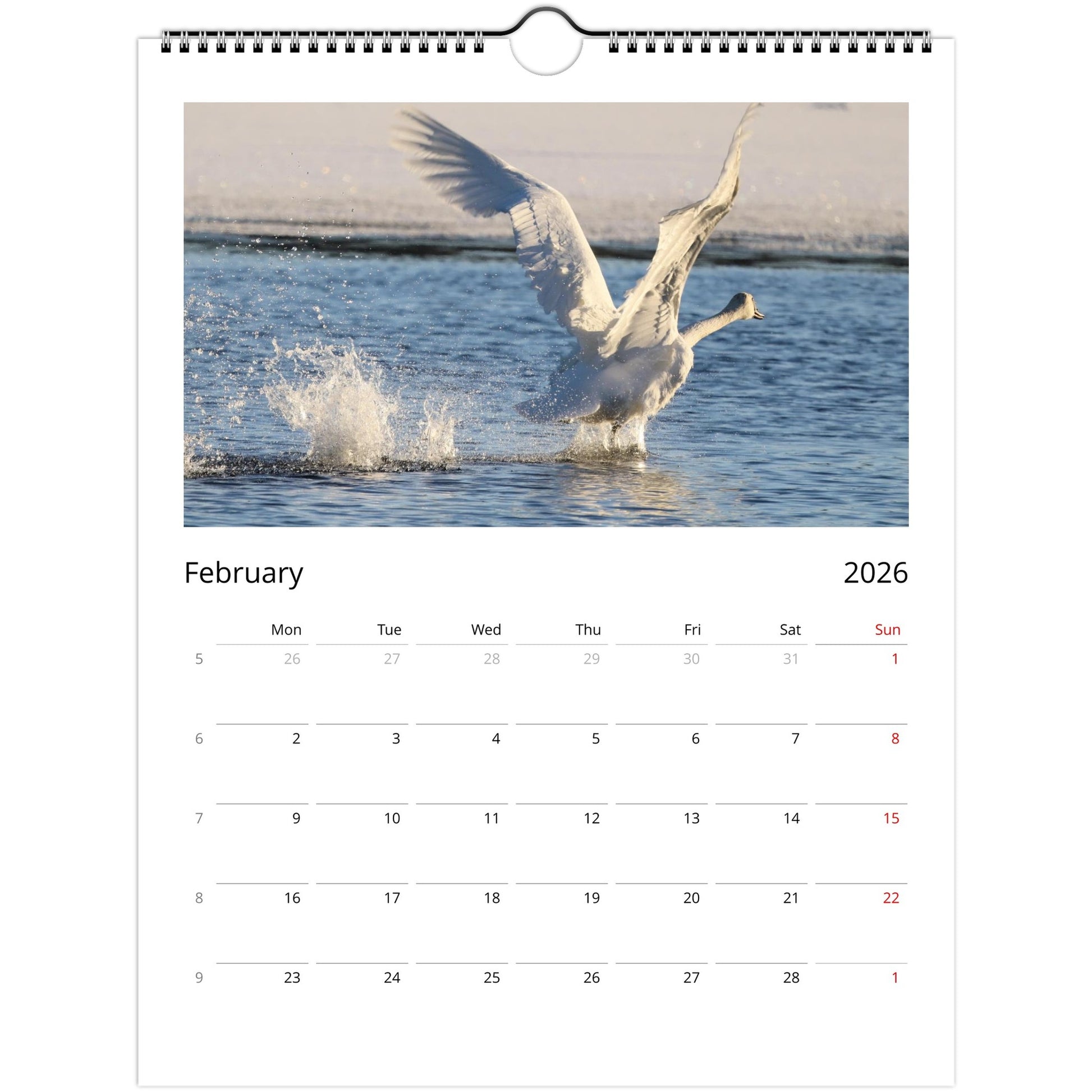 b23a130f-8c07-4ed9-806c-f3446c91ca0d