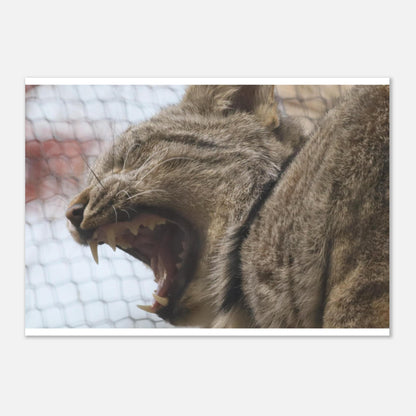 b25e7d2c-61d8-4397-9937-545651b9601d