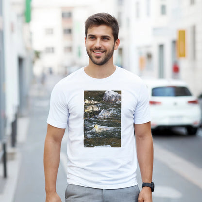 b26dcc22-d683-4fef-ab2a-29f568f8fb53