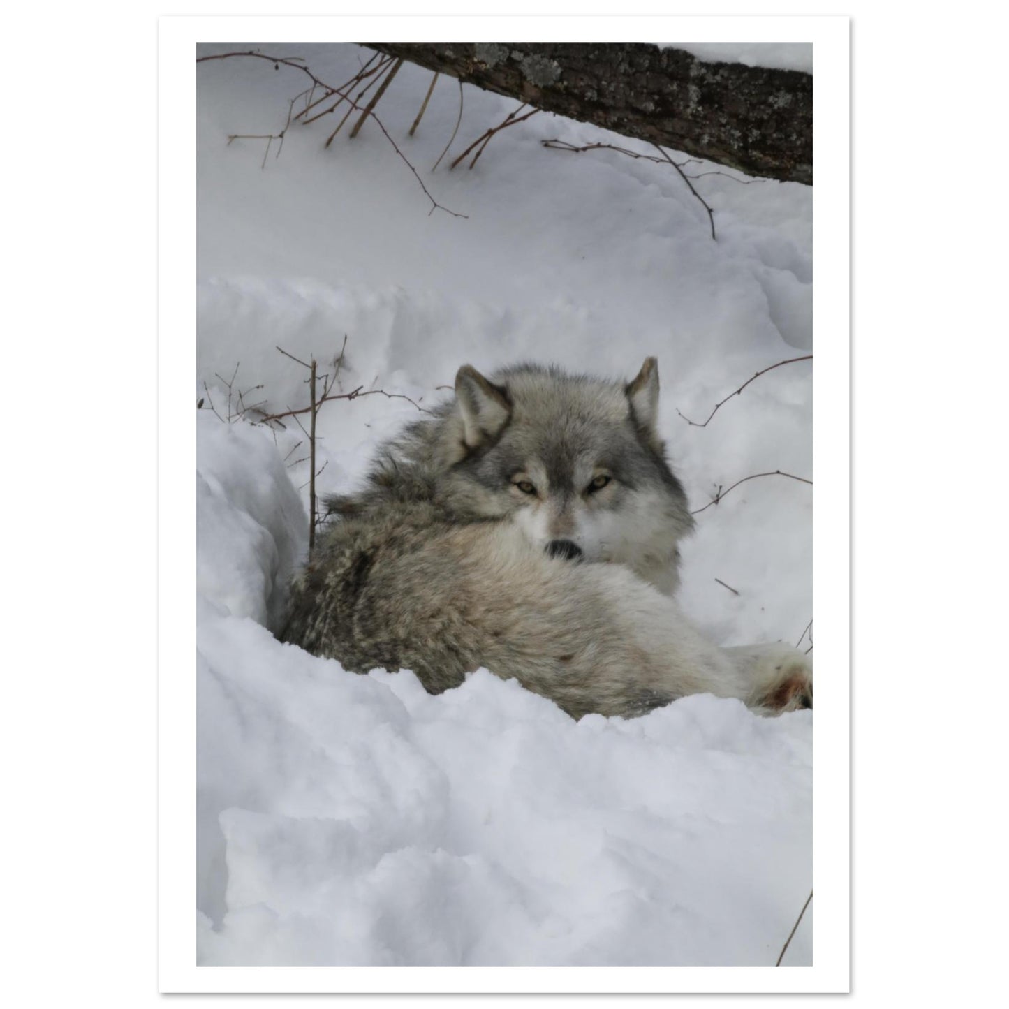 b354fe8d-e5c6-455c-a23a-13011a0796c0