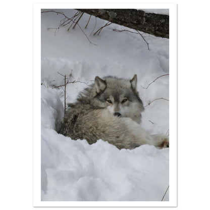 b354fe8d-e5c6-455c-a23a-13011a0796c0