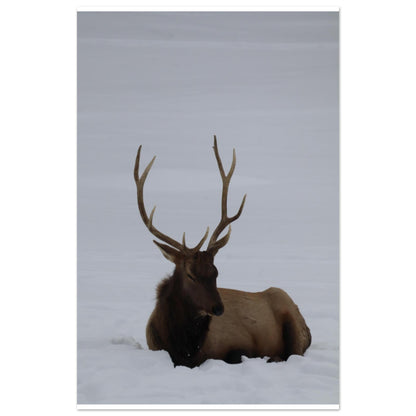 b379ca5c-7eb1-412e-9c6f-ddc0dac9a221