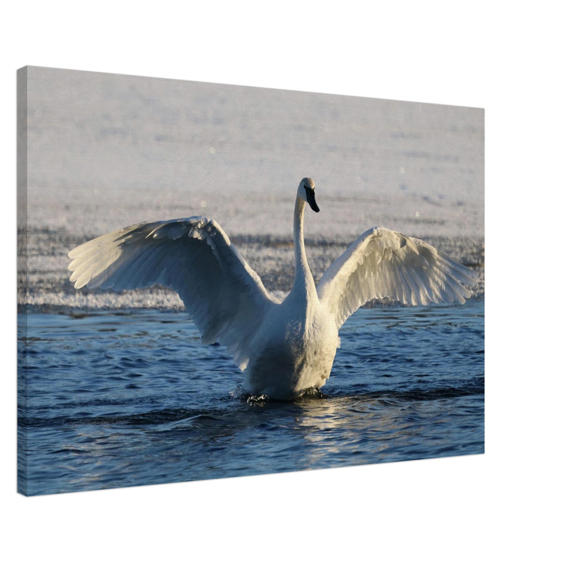 b3f26deb-af70-406c-bafe-c87a540d0d24