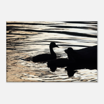 b4c68322-09be-4a74-a53f-72ebcb1697dc