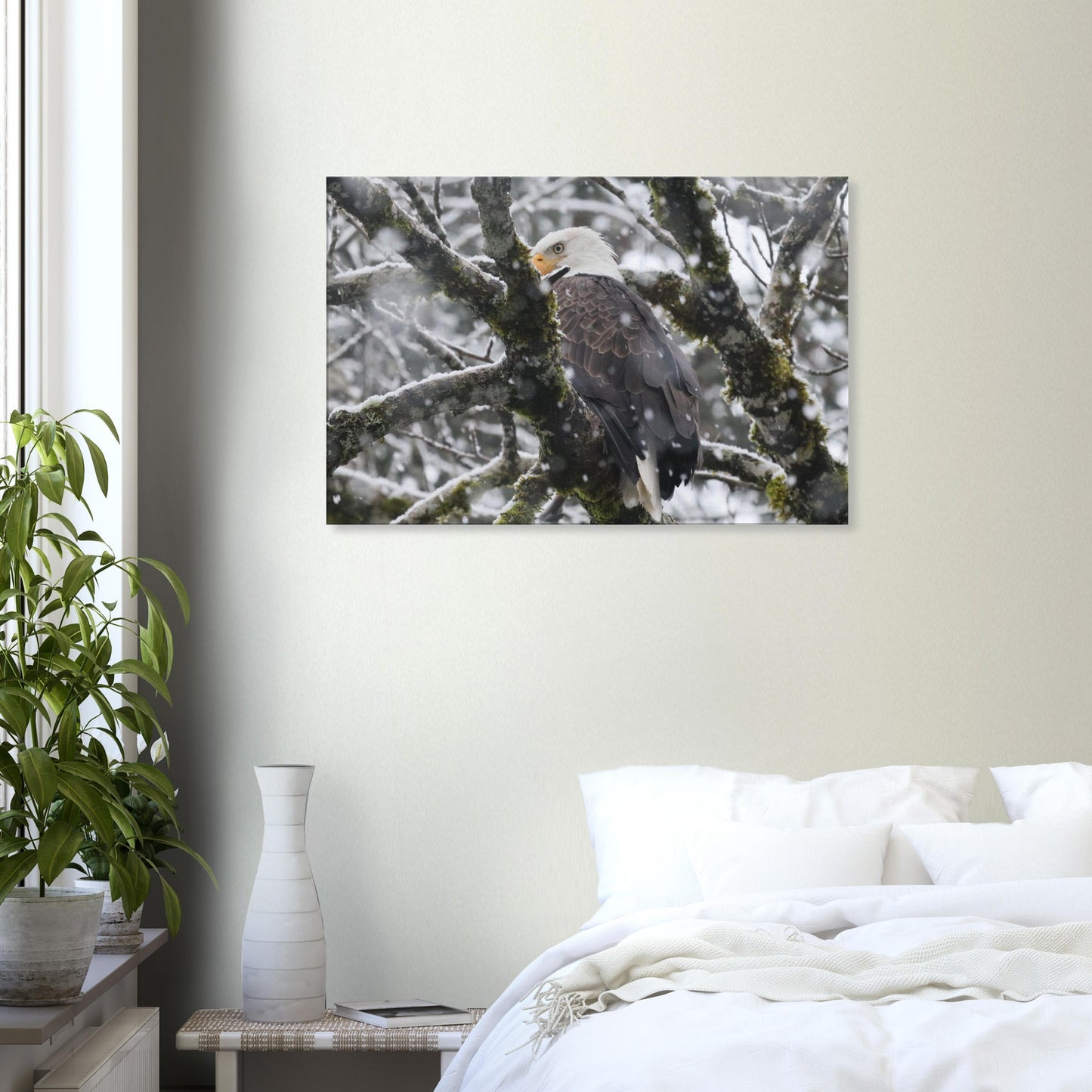 b5083b70-ad95-41f7-81e8-affe76001c0e