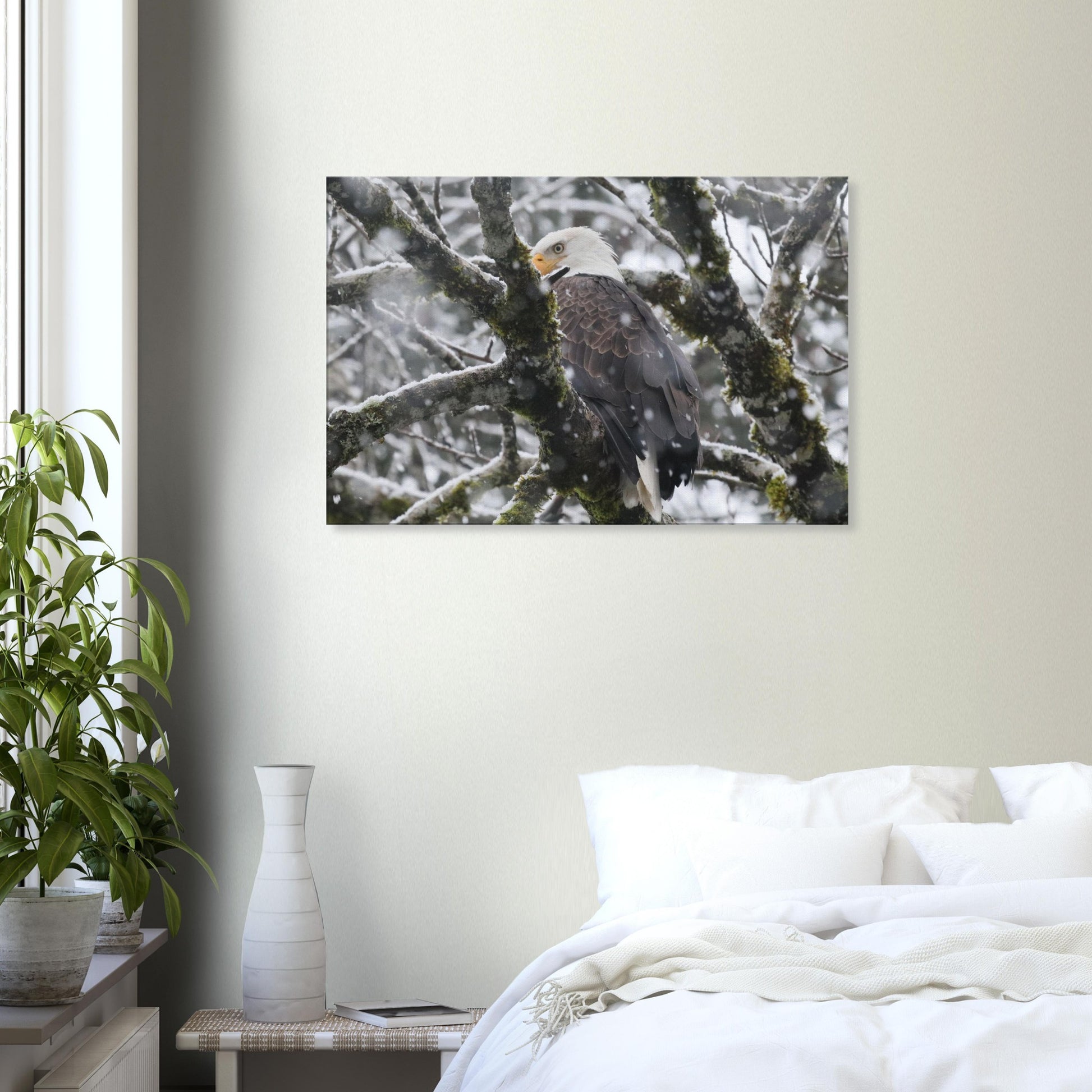 b5083b70-ad95-41f7-81e8-affe76001c0e