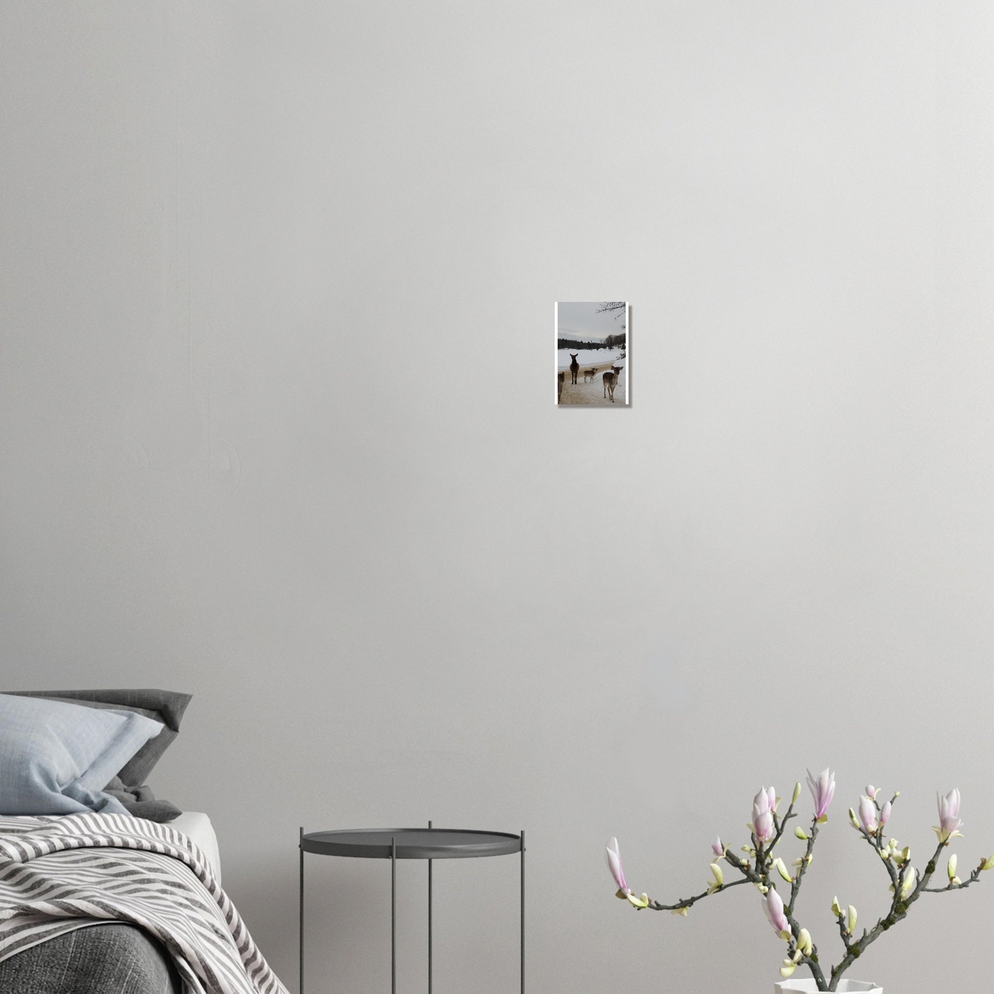 b520c8bf-3ff0-4f24-ae4c-9dd1458e6afd