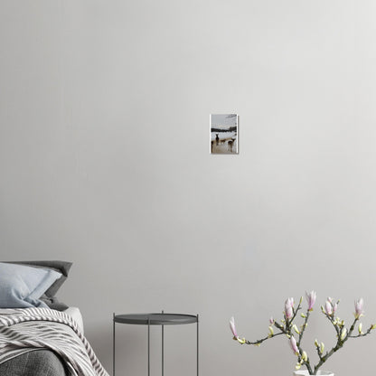 b520c8bf-3ff0-4f24-ae4c-9dd1458e6afd