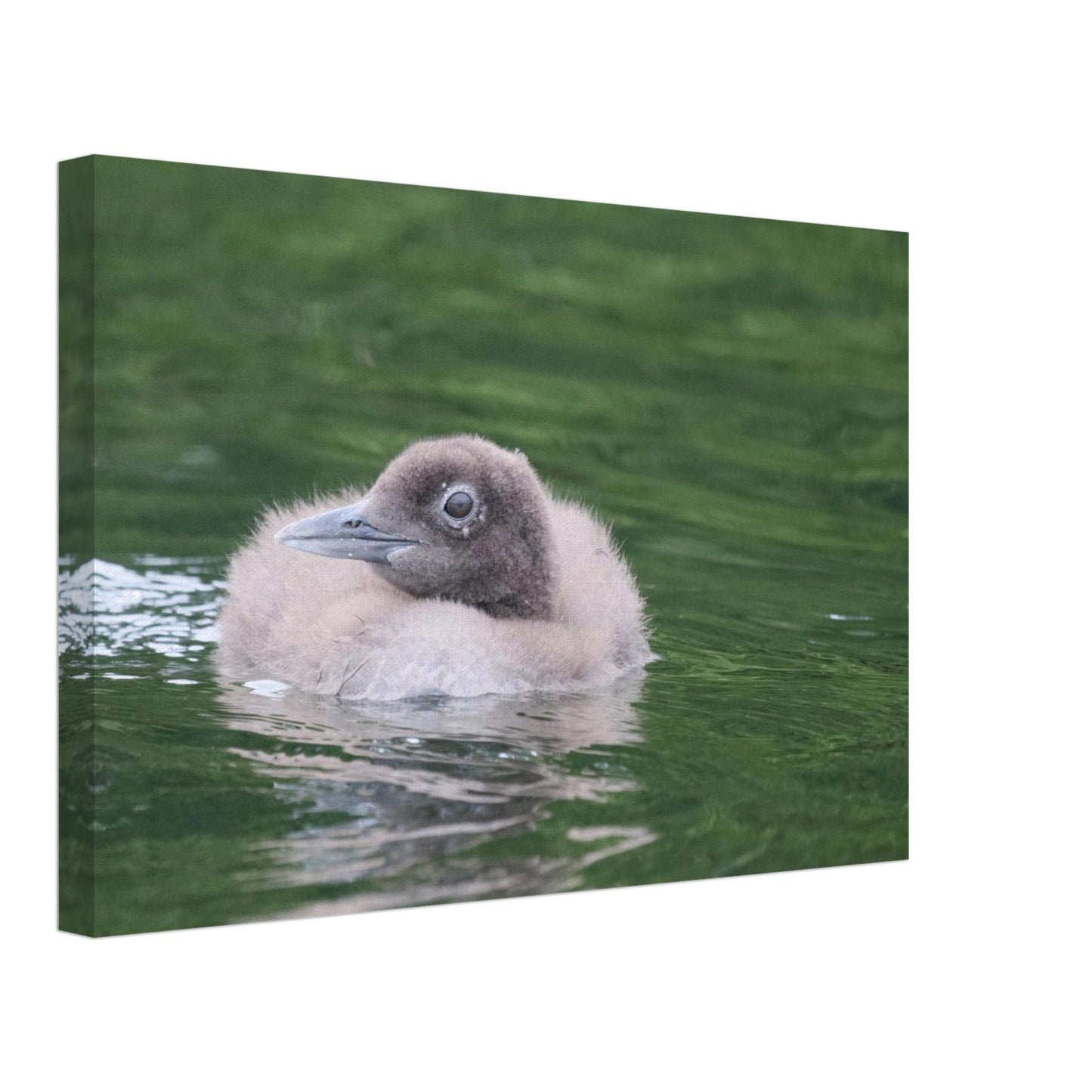 b62a4cd0-c490-4985-a9d2-5fd7a92c9743